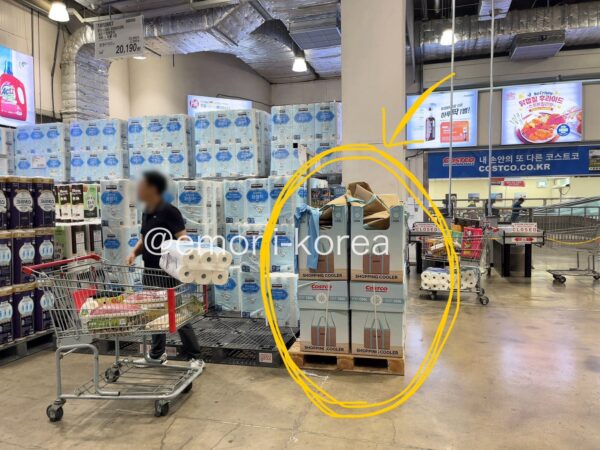 コストコ大邱店の韓国限定バッグのある場所